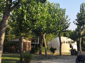 Camping Torre Mucchia